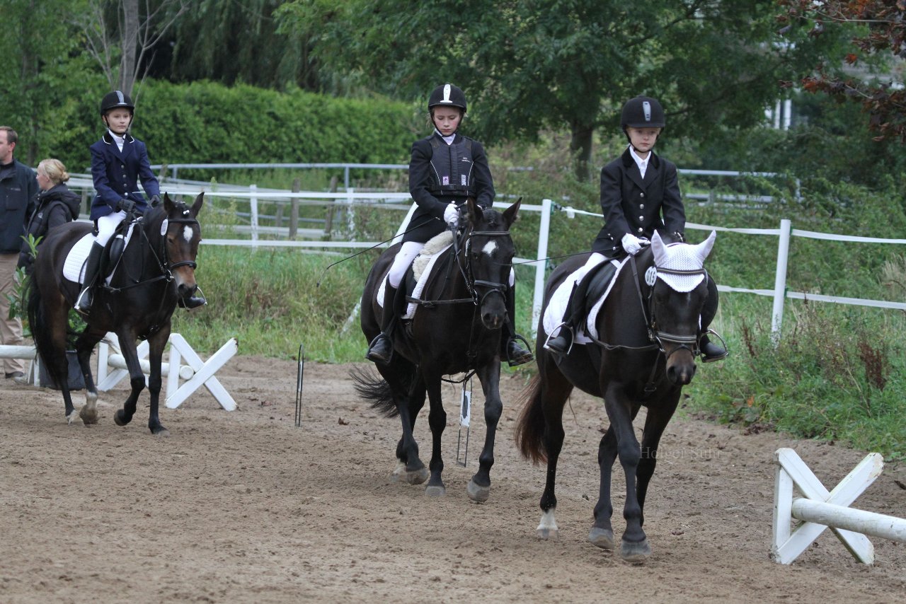 Bild 1098 - WBO-Turnier am 18.9.11
